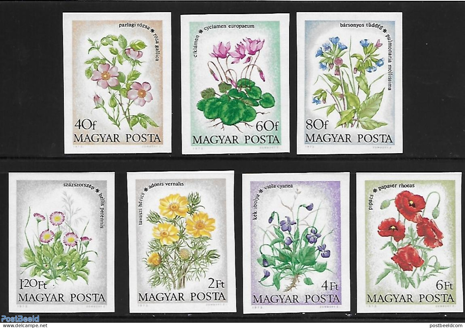 Hungary 1973 Flowers 7v Imperforated, Mint NH, Nature - Flowers & Plants - Unused Stamps