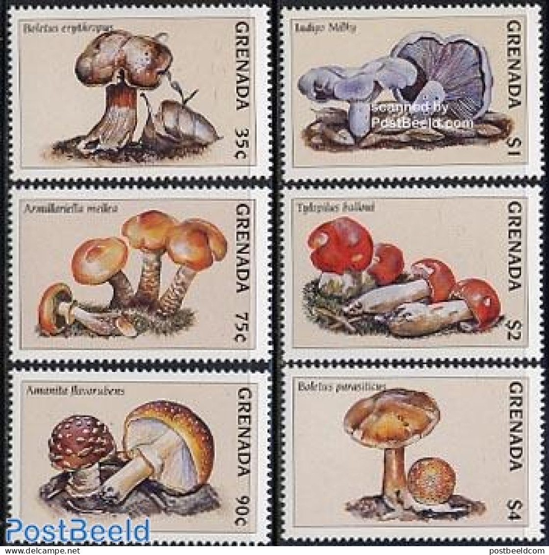 Grenada 1997 Mushrooms 6v, Mint NH, Nature - Mushrooms - Pilze