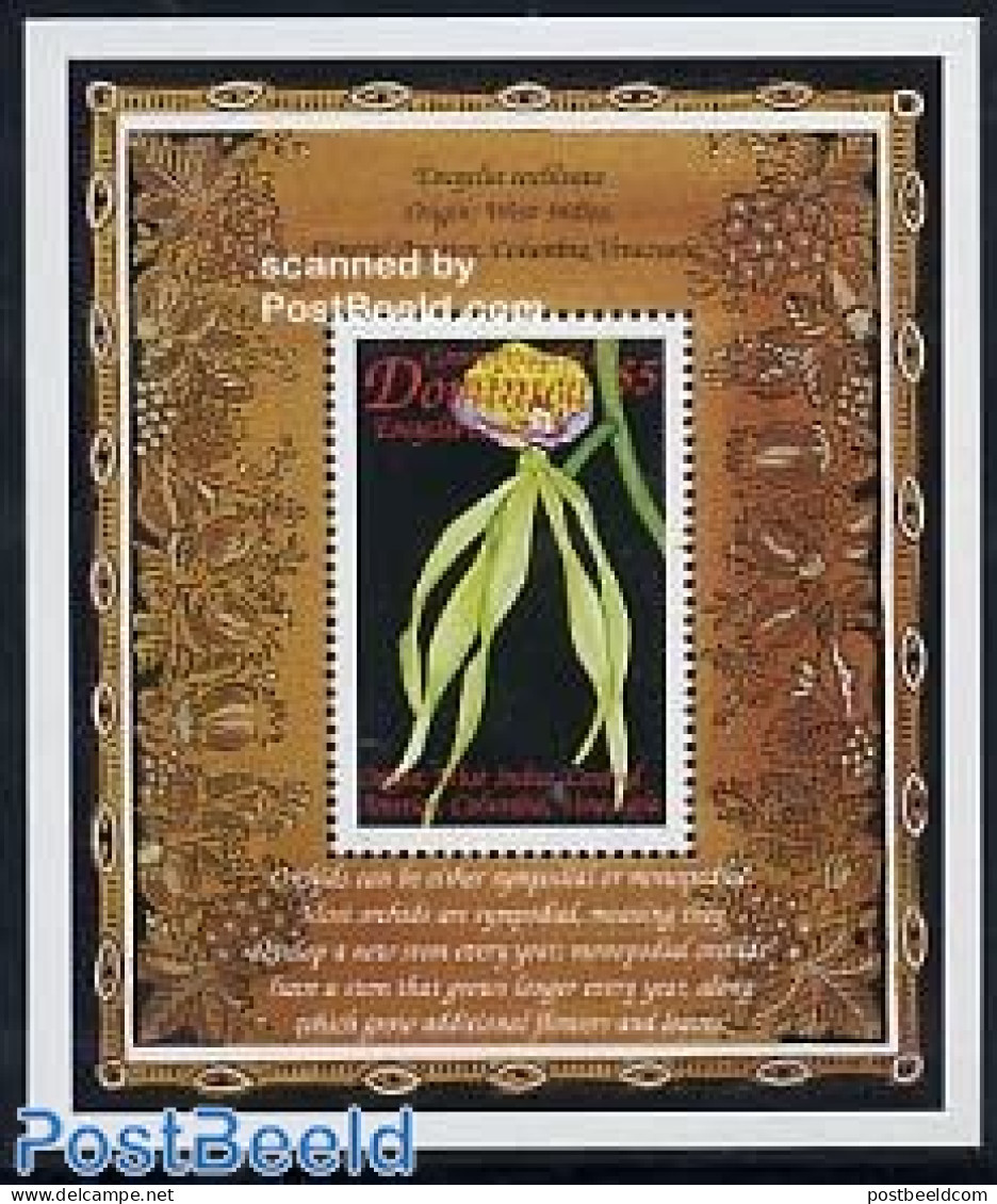 Dominica 1999 Encyclia Cochleata S/s, Mint NH, Nature - Flowers & Plants - Orchids - Dominican Republic