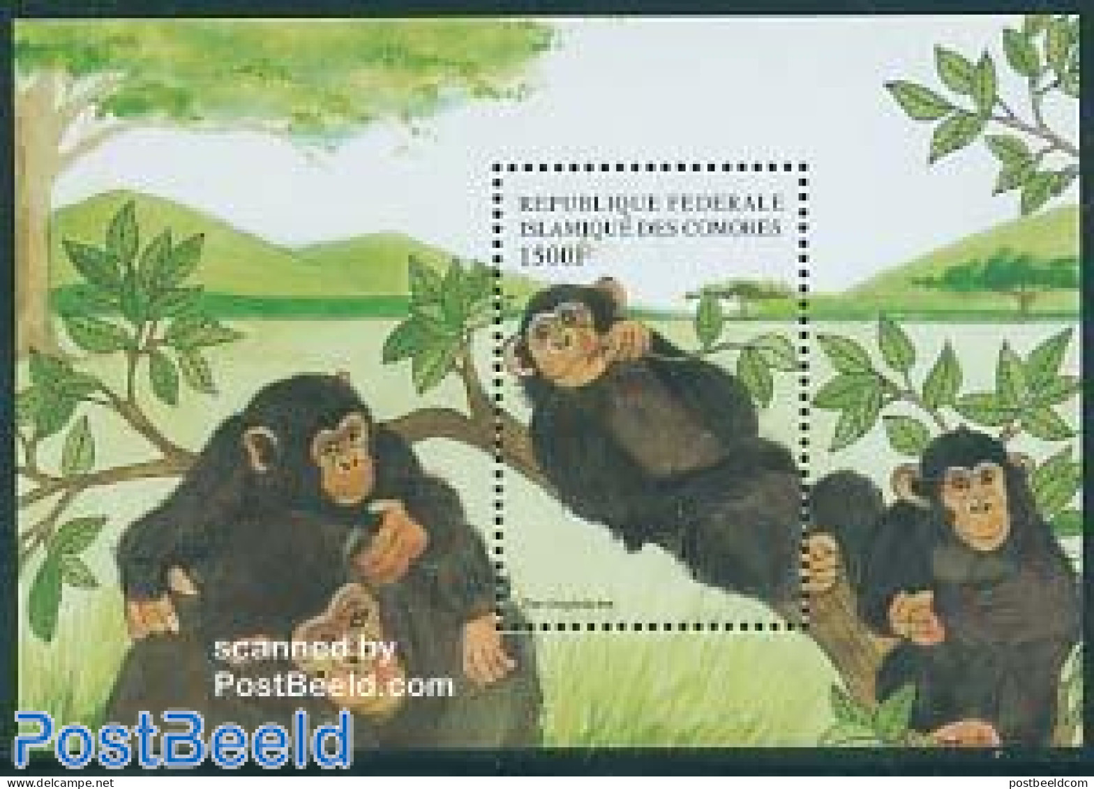 Comoros 1999 Chimpansee S/s, Mint NH, Nature - Animals (others & Mixed) - Monkeys - Komoren (1975-...)
