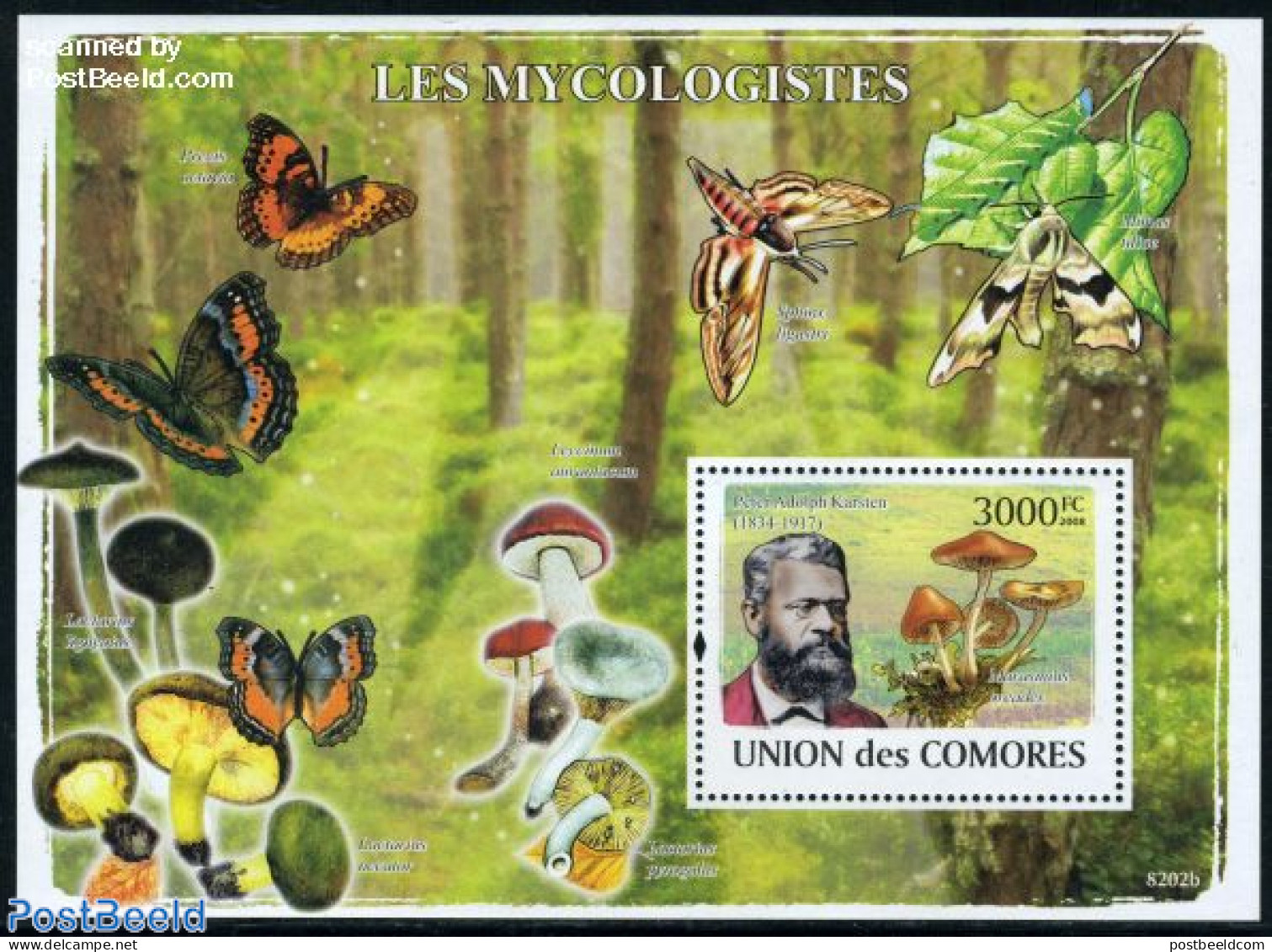 Comoros 2008 Mushrooms S/s, Mint NH, Nature - Mushrooms - Mushrooms