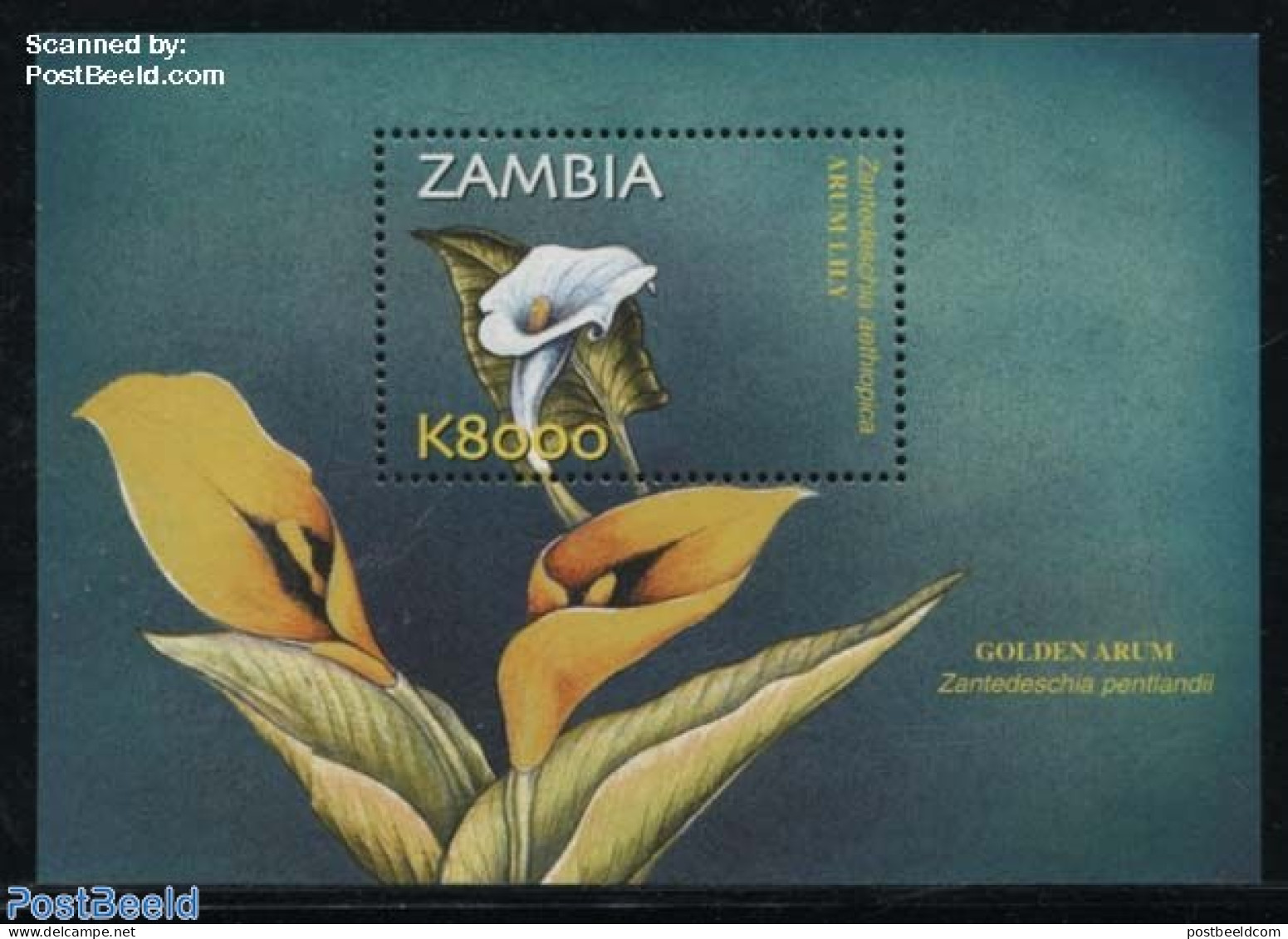Zambia 2002 Flowers S/s, Mint NH, Nature - Flowers & Plants - Zambie (1965-...)