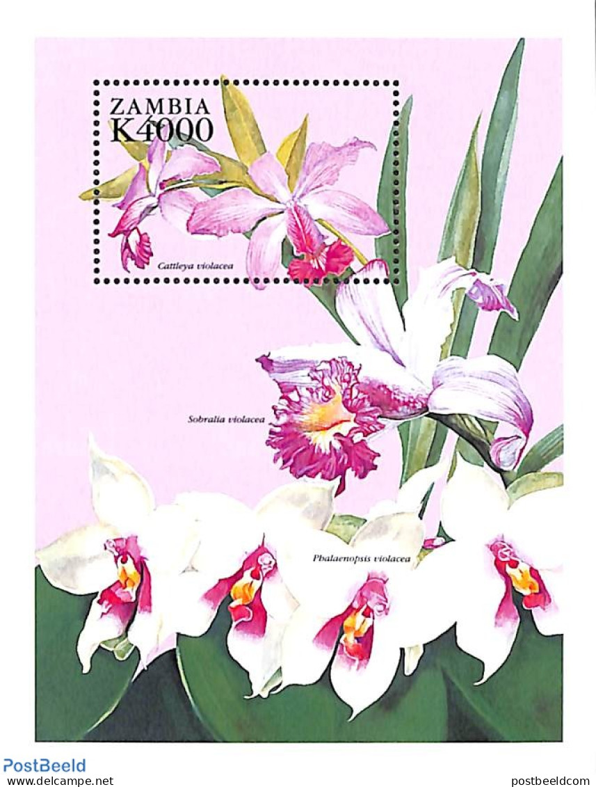 Zambia 1999 Cattleya Violacea S/s, Mint NH, Nature - Flowers & Plants - Orchids - Zambia (1965-...)