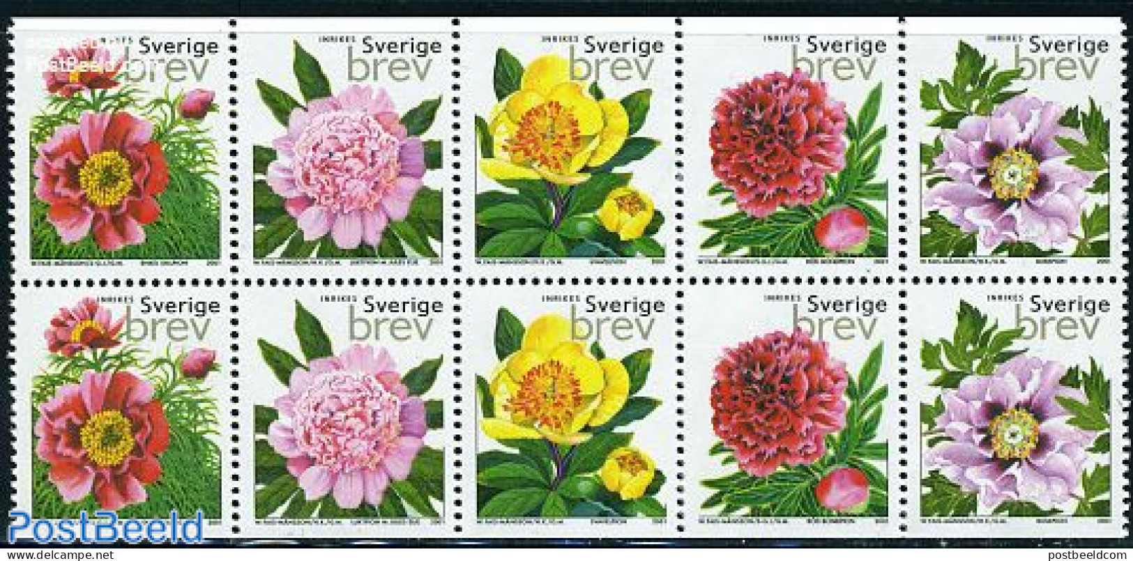 Sweden 2001 Roses 10v [++++], Mint NH, Nature - Flowers & Plants - Roses - Unused Stamps