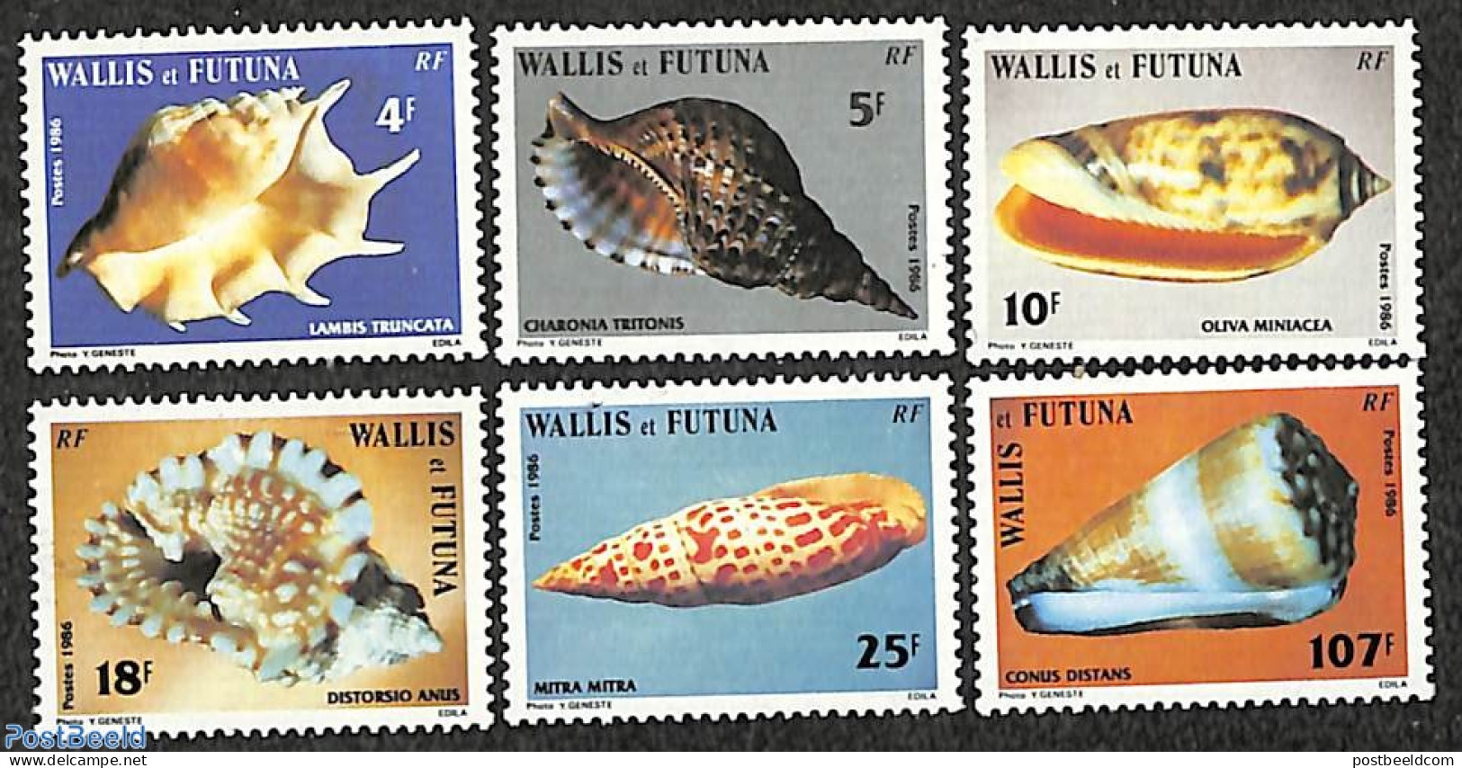 Wallis & Futuna 1986 Shells 6v, Mint NH, Nature - Shells & Crustaceans - Mundo Aquatico