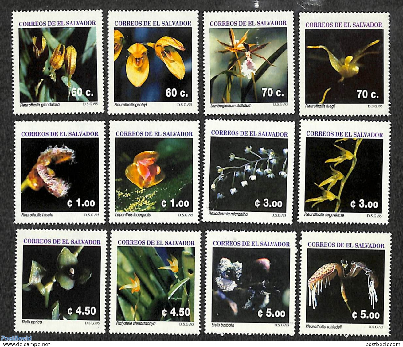 El Salvador 1995 Orchids 12v, Mint NH, Nature - Flowers & Plants - Orchids - Salvador