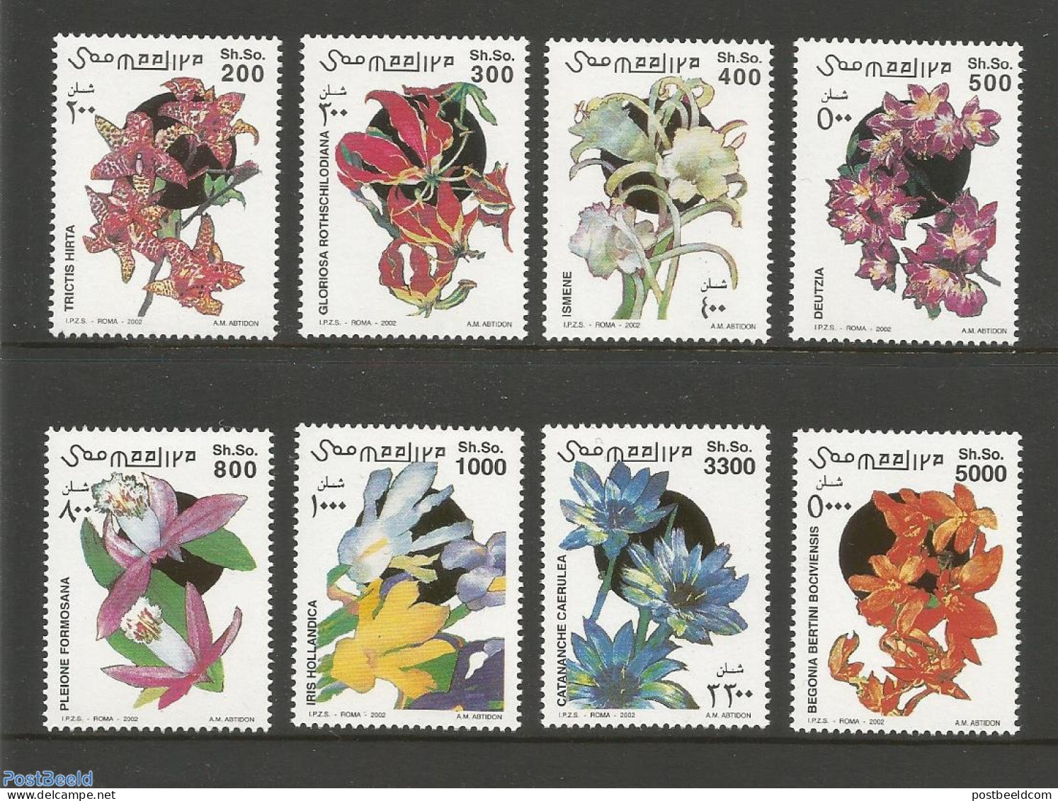 Somalia 2002 Flowers 8v, Mint NH, Nature - Flowers & Plants - Somalië (1960-...)