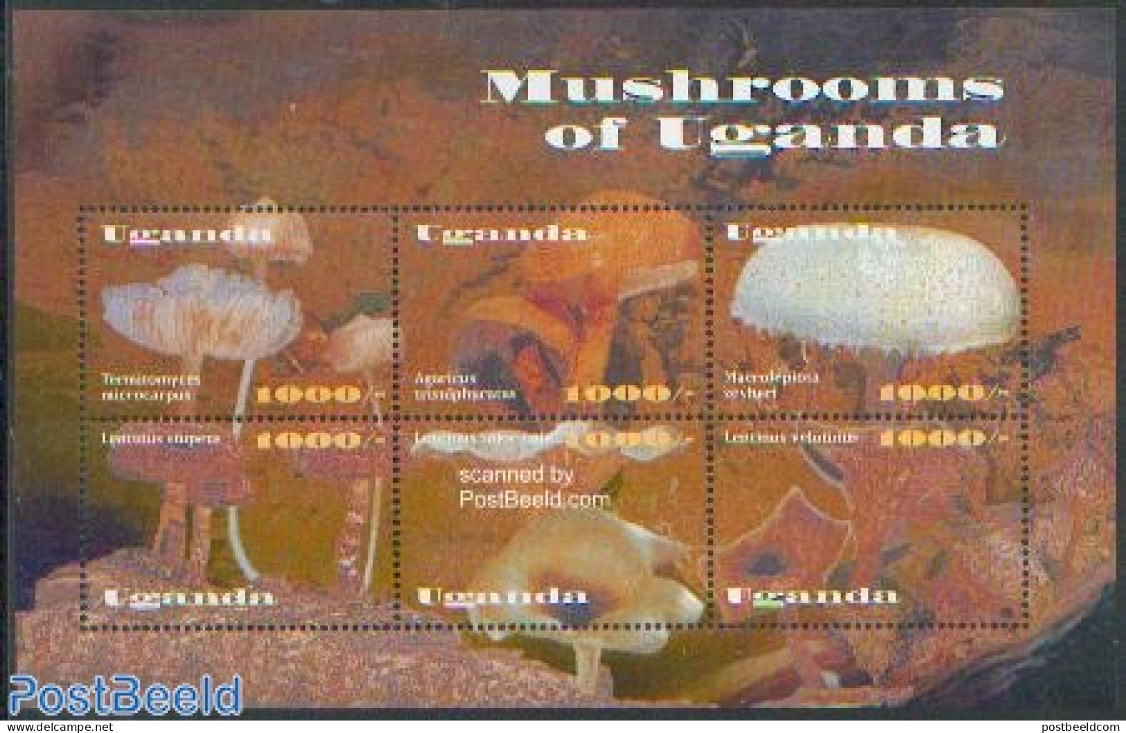 Uganda 2002 Mushrooms 6v M/s /Termitomyces, Mint NH, Nature - Mushrooms - Champignons