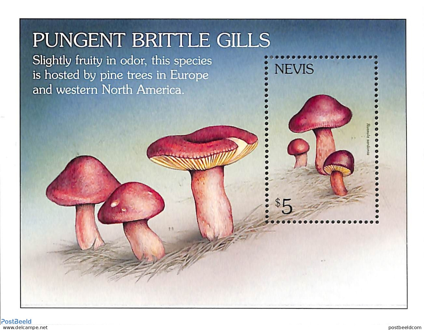 Nevis 2001 Mushrooms S/s, Russula Sardonia, Mint NH, Nature - Mushrooms - Hongos