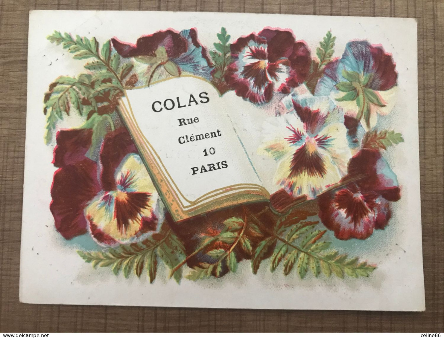 Fleurs, Pensées COLAS Rue Clement 10 Paris - Other & Unclassified