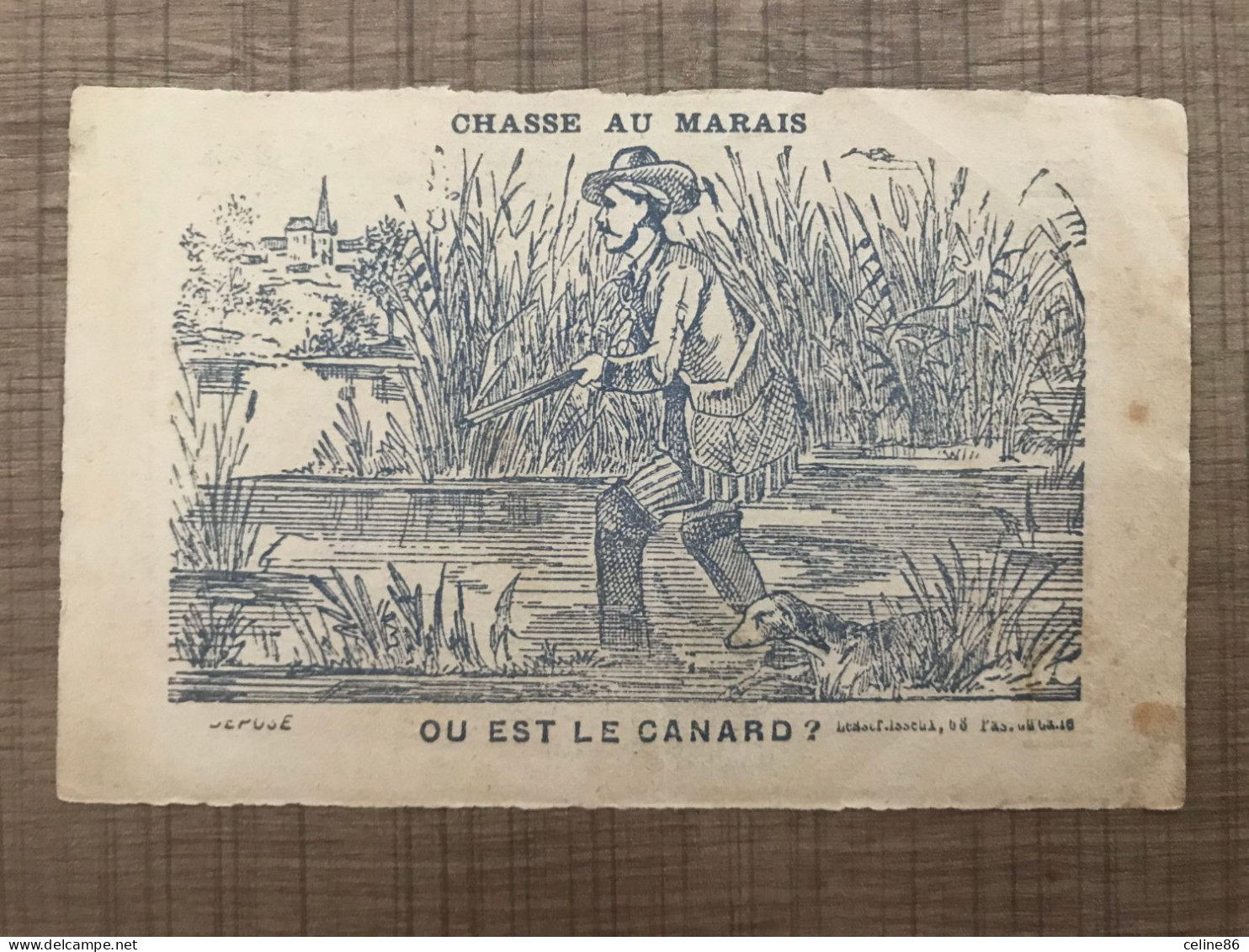 Chasse Au Marais OU EST LE CANARD ? Herboriste Nicolas Pointe - Sonstige & Ohne Zuordnung