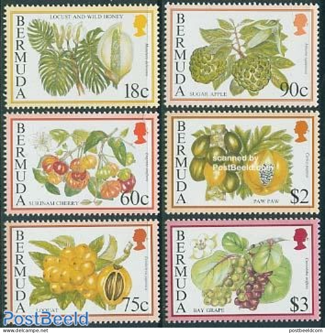 Bermuda 1995 Fruits 6v (without Year), Mint NH, Nature - Fruit - Fruits