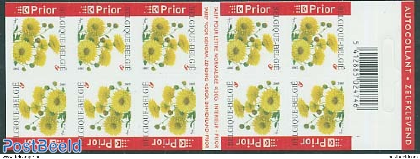 Belgium 2005 Chrysants Booklet, Mint NH, Nature - Flowers & Plants - Stamp Booklets - Neufs
