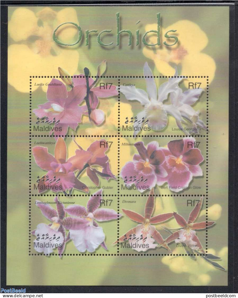 Maldives 2002 Orchids 6v M/s /Laelia Gouldiana, Mint NH, Nature - Flowers & Plants - Orchids - Maldivas (1965-...)