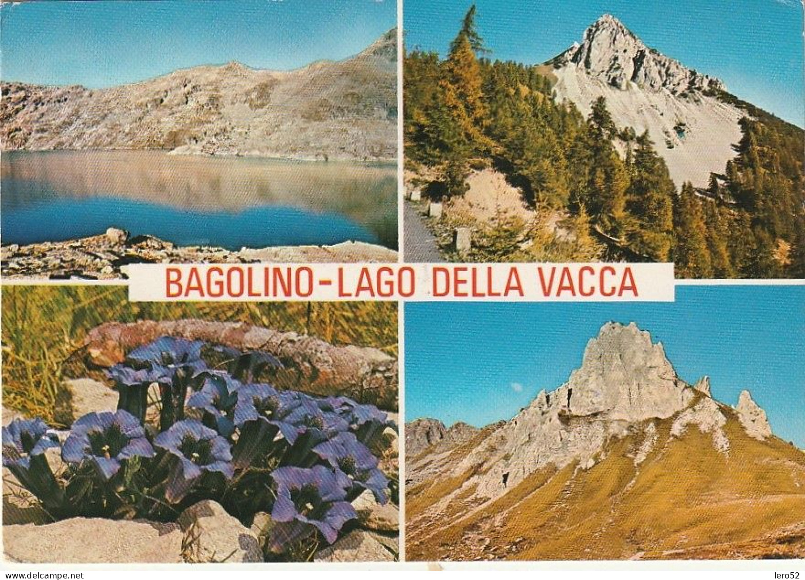 BAGOLINO LAGO DELLA VACCA VEDUTINE VIAGGIATA - Brescia