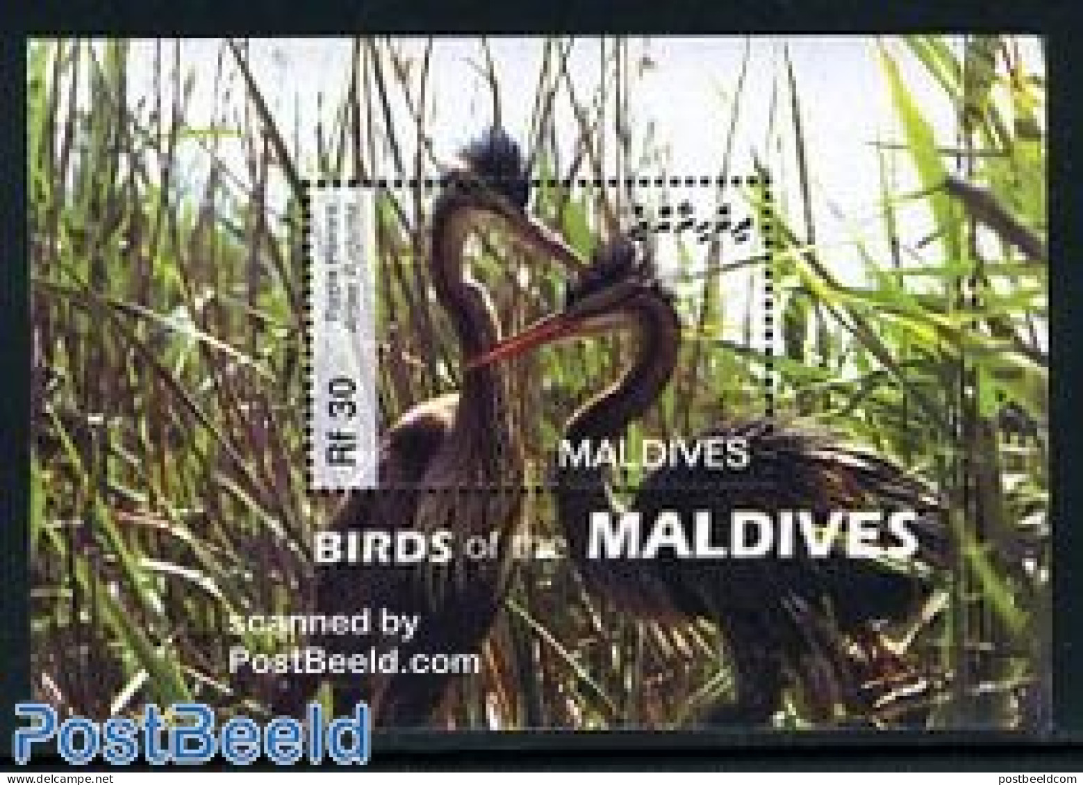 Maldives 2006 Birds S/s, Mint NH, Nature - Birds - Maldives (1965-...)