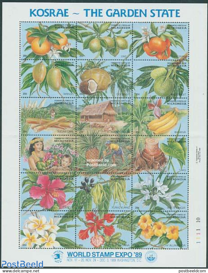 Micronesia 1989 World Stamp Expo 18v M/s, Mint NH, History - Nature - Flowers & Plants - Fruit - Frutta