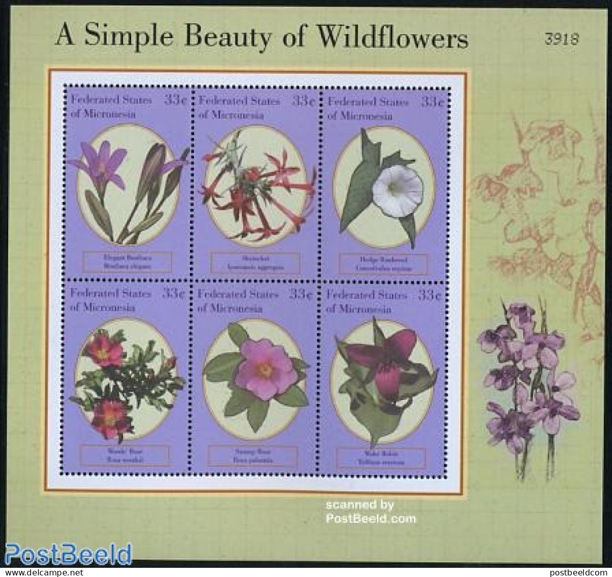 Micronesia 2000 Wild Flowers 6v M/s, Mint NH, Nature - Flowers & Plants - Micronesië