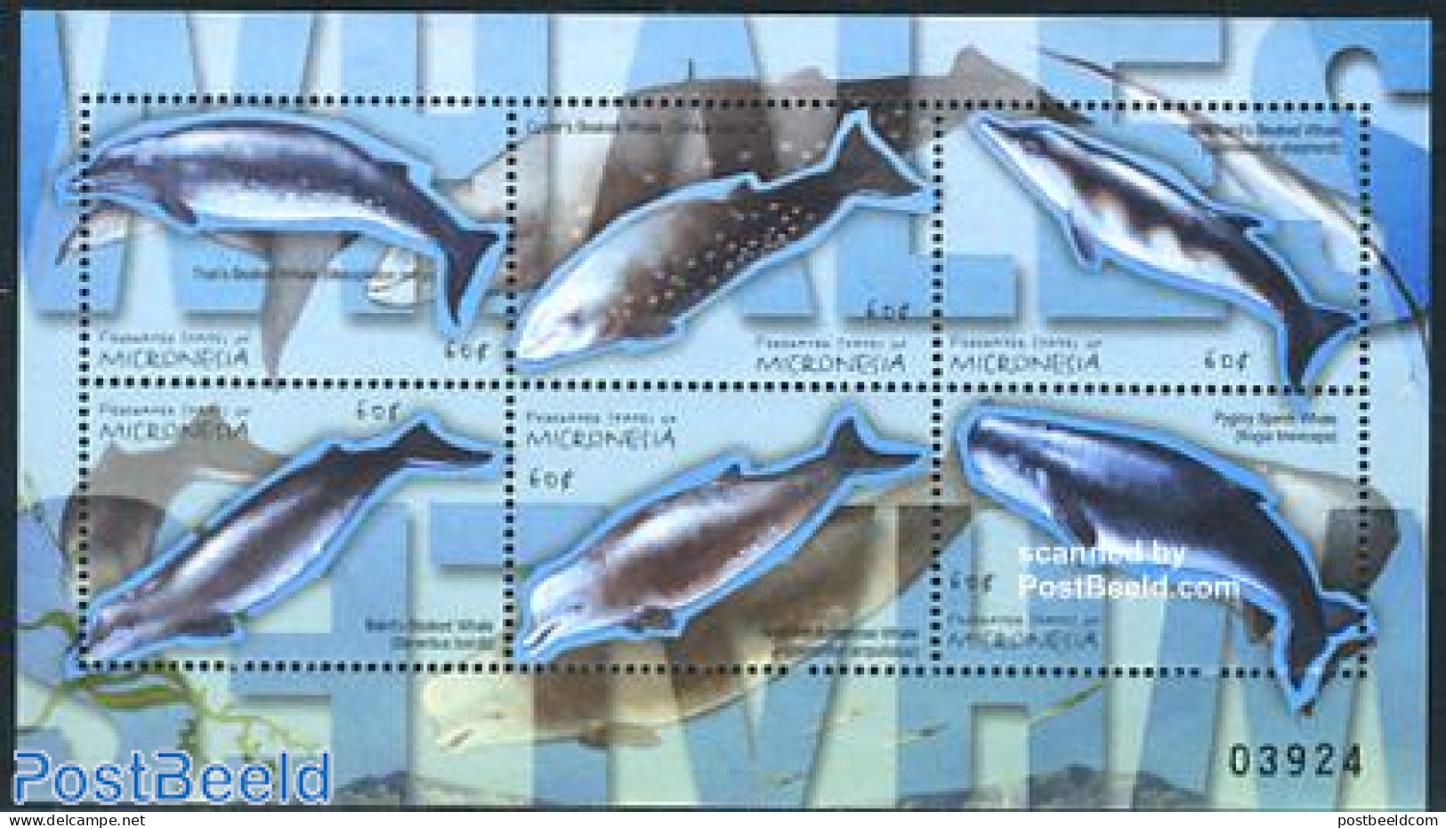 Micronesia 2001 Whales 6v M/s (6x60c), Mint NH, Nature - Sea Mammals - Mikronesien