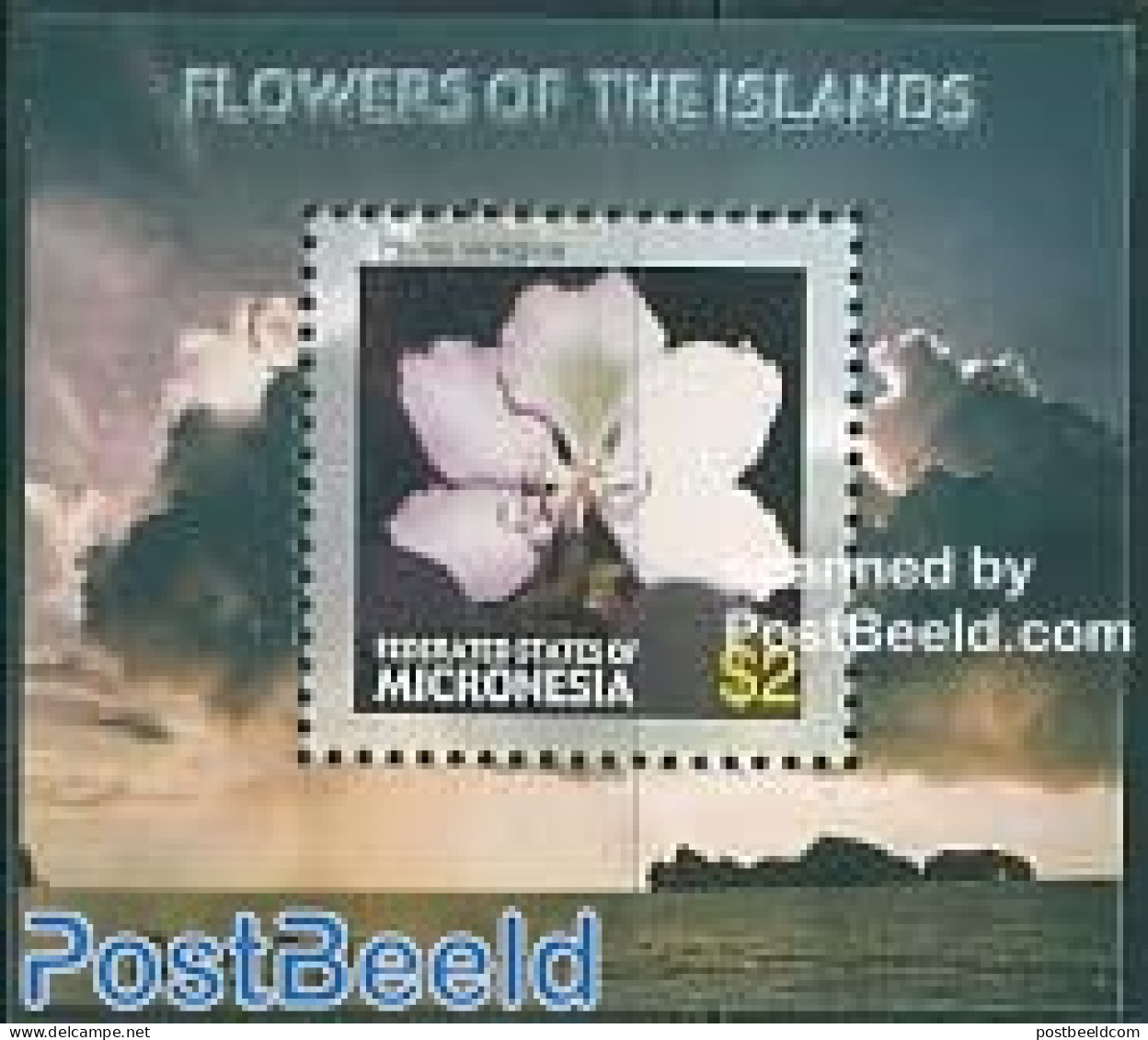 Micronesia 2005 Flowers S/s, Phinia Variegata S/s, Mint NH, Nature - Flowers & Plants - Micronesië