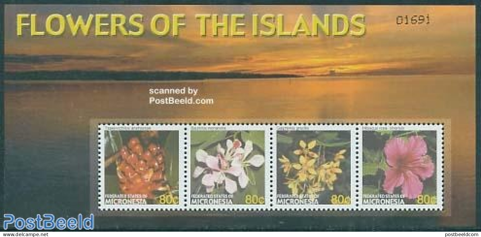 Micronesia 2006 Flowers 4v M/s, Mint NH, Nature - Flowers & Plants - Micronésie