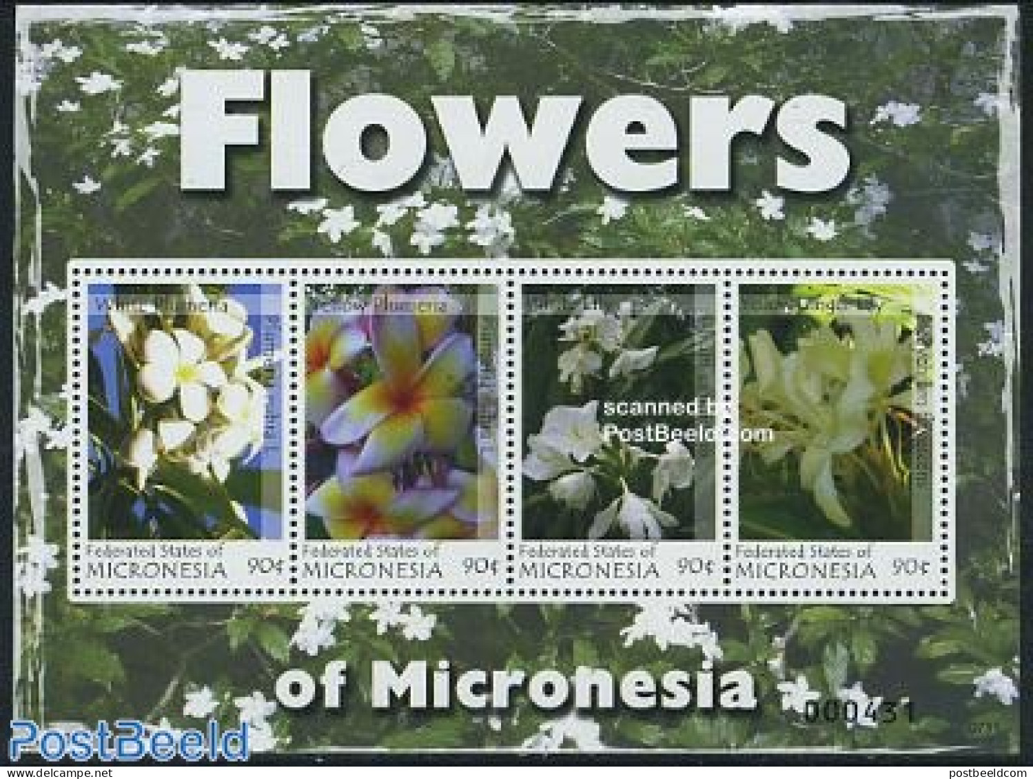 Micronesia 2007 Flowers Of Micronesia 4v M/s, Mint NH, Nature - Flowers & Plants - Micronesia