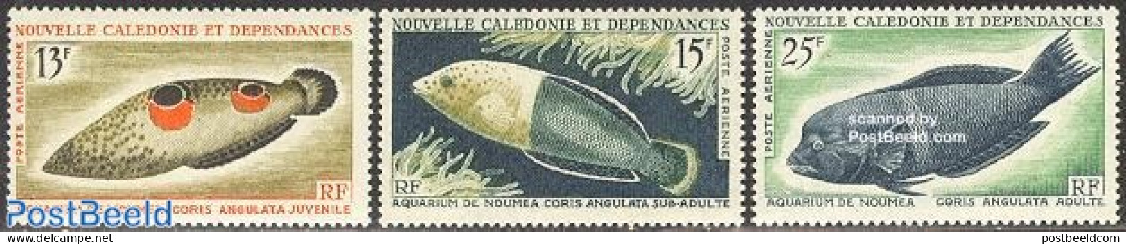 New Caledonia 1965 Fish 3v, Mint NH, Nature - Fish - Unused Stamps