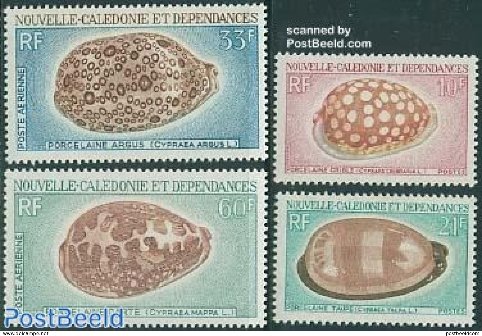 New Caledonia 1970 Shells 4v, Mint NH, Nature - Shells & Crustaceans - Nuevos