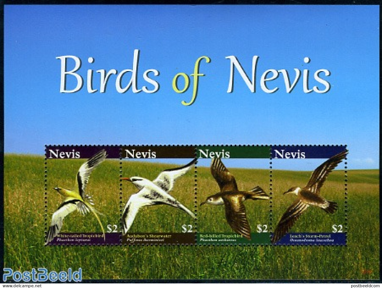 Nevis 2010 Birds 4v M/s, Mint NH, Nature - Birds - St.Kitts E Nevis ( 1983-...)