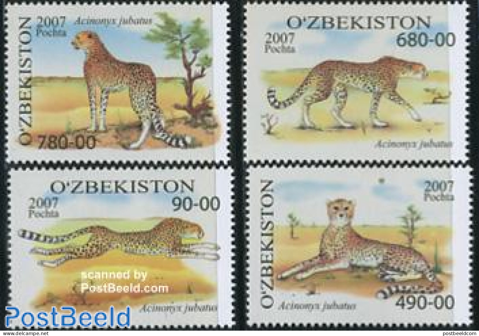 Uzbekistan 2007 Gepards 4v, Mint NH, Nature - Animals (others & Mixed) - Cat Family - Uzbekistán