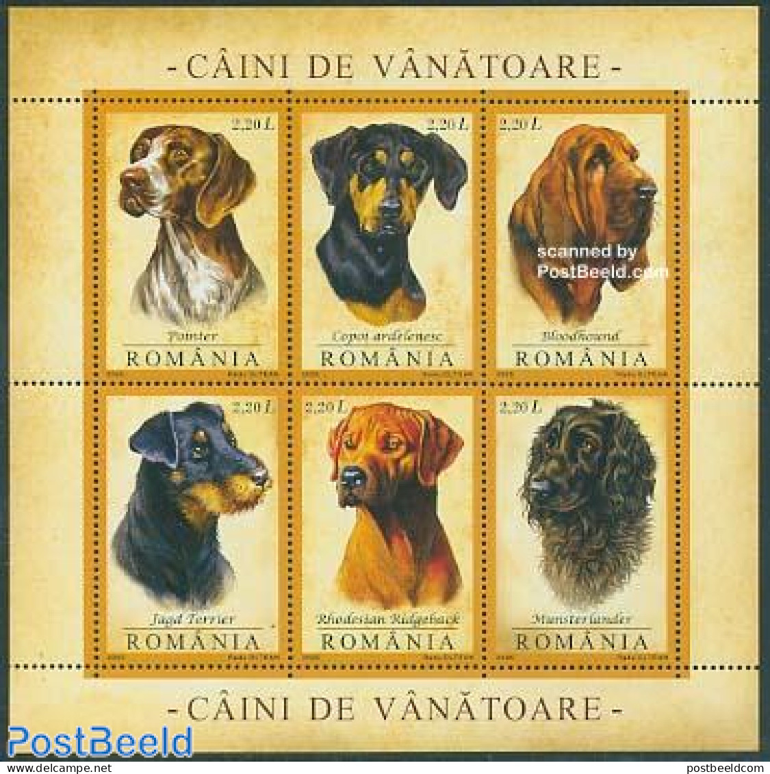 Romania 2005 Hunting Dogs 6v M/s, Mint NH, Nature - Dogs - Hunting - Nuevos