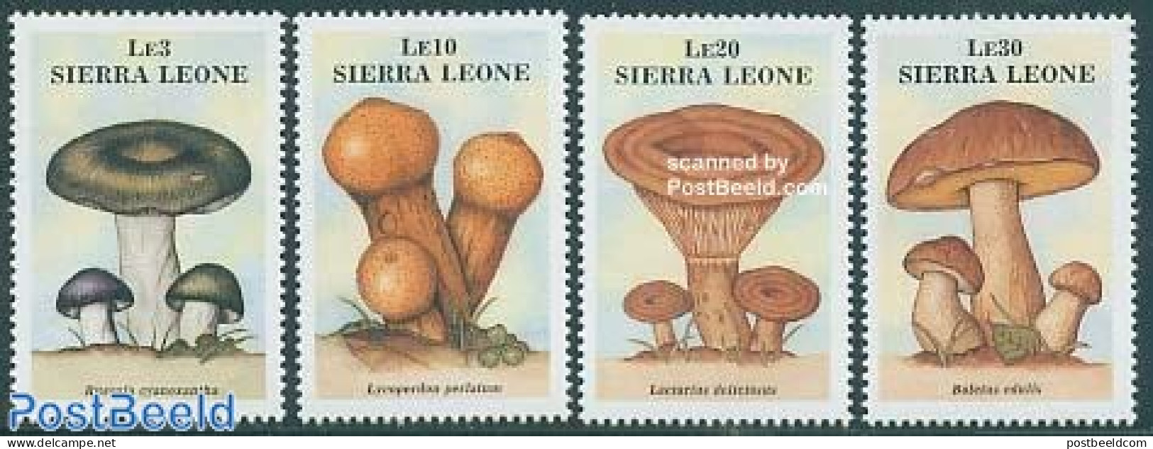 Sierra Leone 1988 Mushrooms 4v, Mint NH, Nature - Mushrooms - Champignons