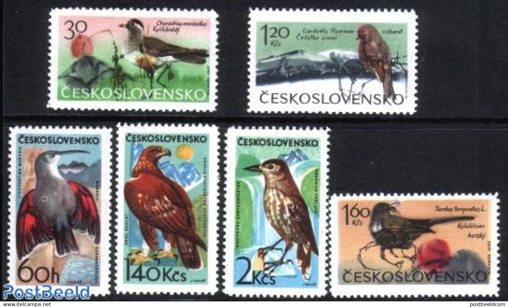 Czechoslovkia 1965 Birds 6v, Mint NH, Nature - Birds - Birds Of Prey - Hummingbirds - Autres & Non Classés