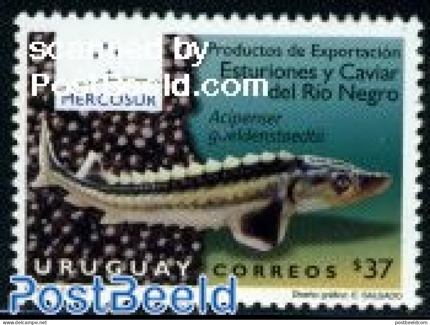 Uruguay 2009 Fish, Mercosur 1v, Mint NH, Nature - Fish - Fische
