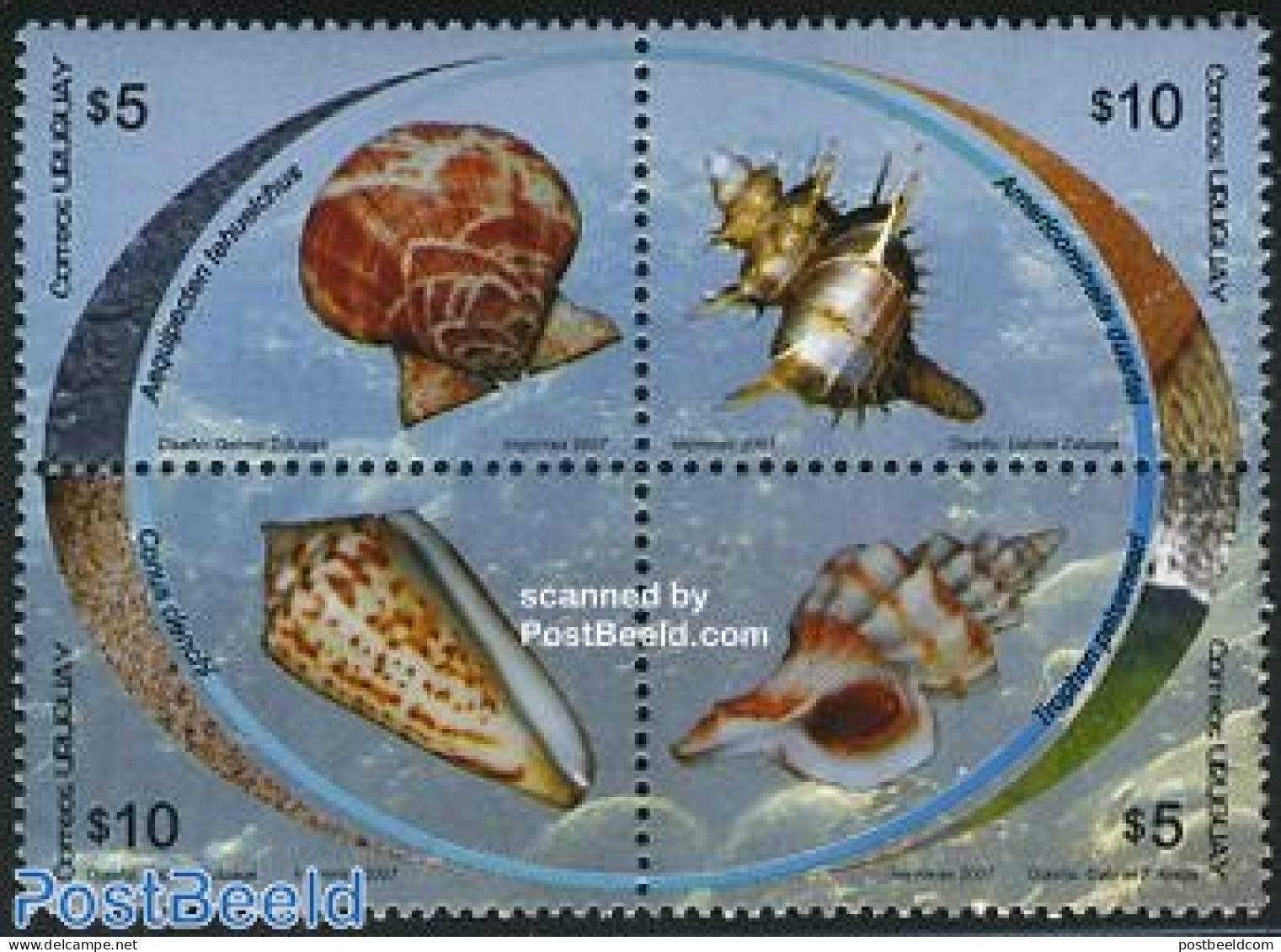 Uruguay 2007 Shells 4v [+], Mint NH, Nature - Shells & Crustaceans - Marine Life
