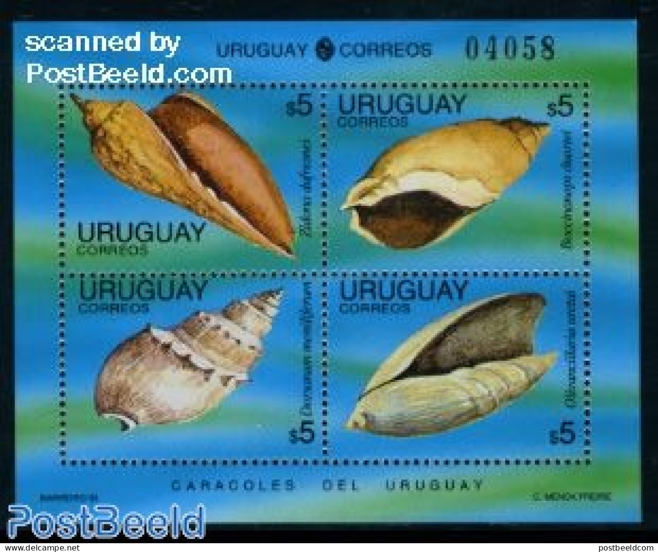 Uruguay 1995 Shells S/s, Mint NH, Nature - Shells & Crustaceans - Vita Acquatica