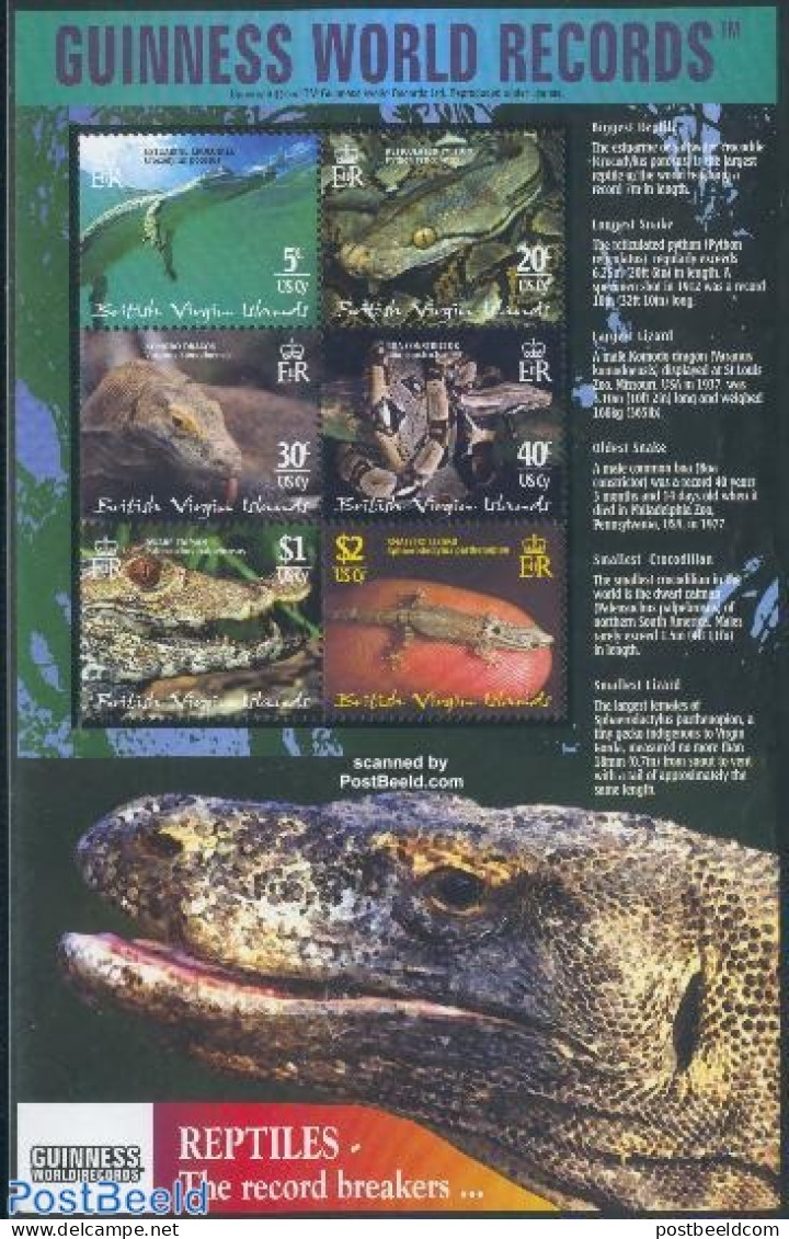 Virgin Islands 2002 Reptiles 6v M/s, Mint NH, Nature - Crocodiles - Reptiles - Snakes - British Virgin Islands