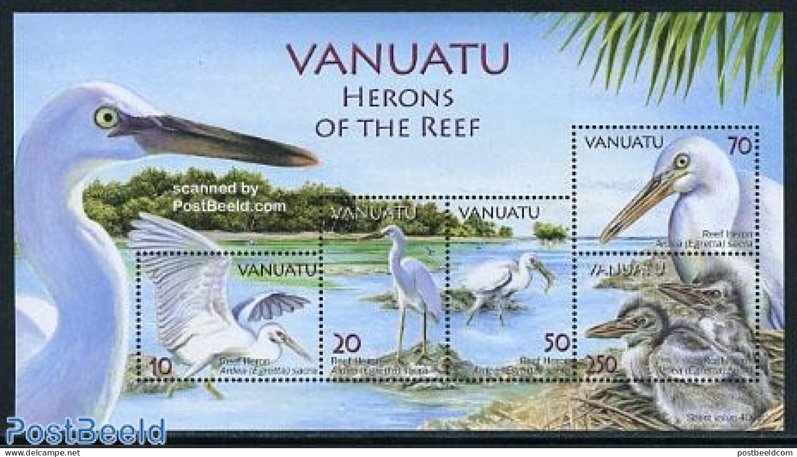 Vanuatu 2007 Herons Of The Reef 5v M/s, Mint NH, Nature - Birds - Vanuatu (1980-...)