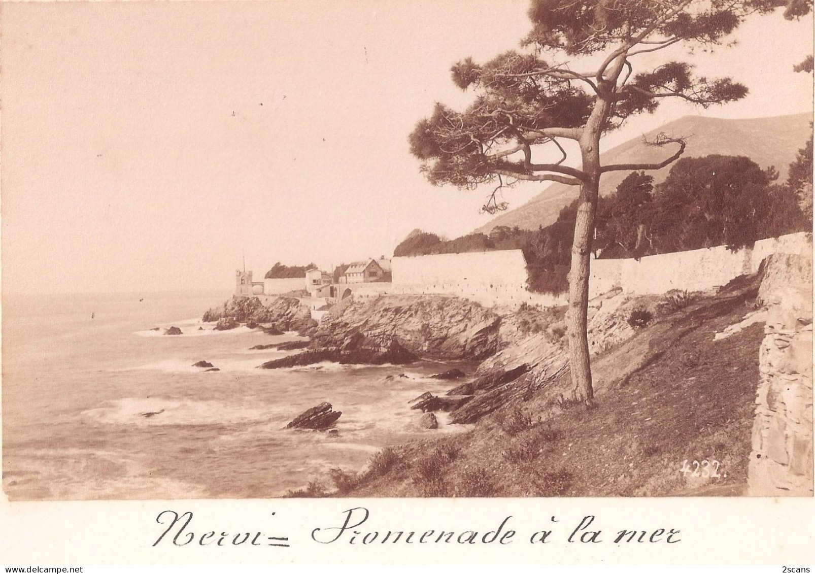 Italie - GÊNES - GENOVA - Photo 19è Siècle 9,2 X 14,9 Cm Sur Support Cartonné 16 X 21,7 Cm - NERVI - PROMENADE À LA MER - Genova (Genua)