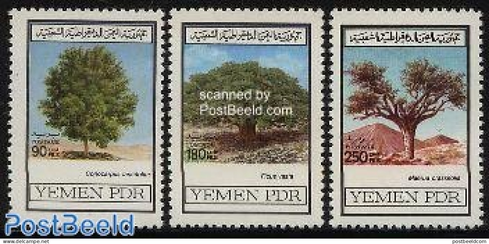 Yemen, South 1981 Trees 3v, Mint NH, Nature - Trees & Forests - Rotary, Lions Club