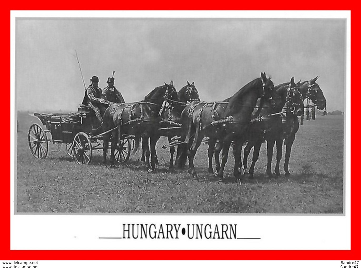 CPSM /gf. HUNGARY.  Attelage Hongrois De Cinq Chevaux, Calèche Et Postillons, Glacé..*8888 - Pferde