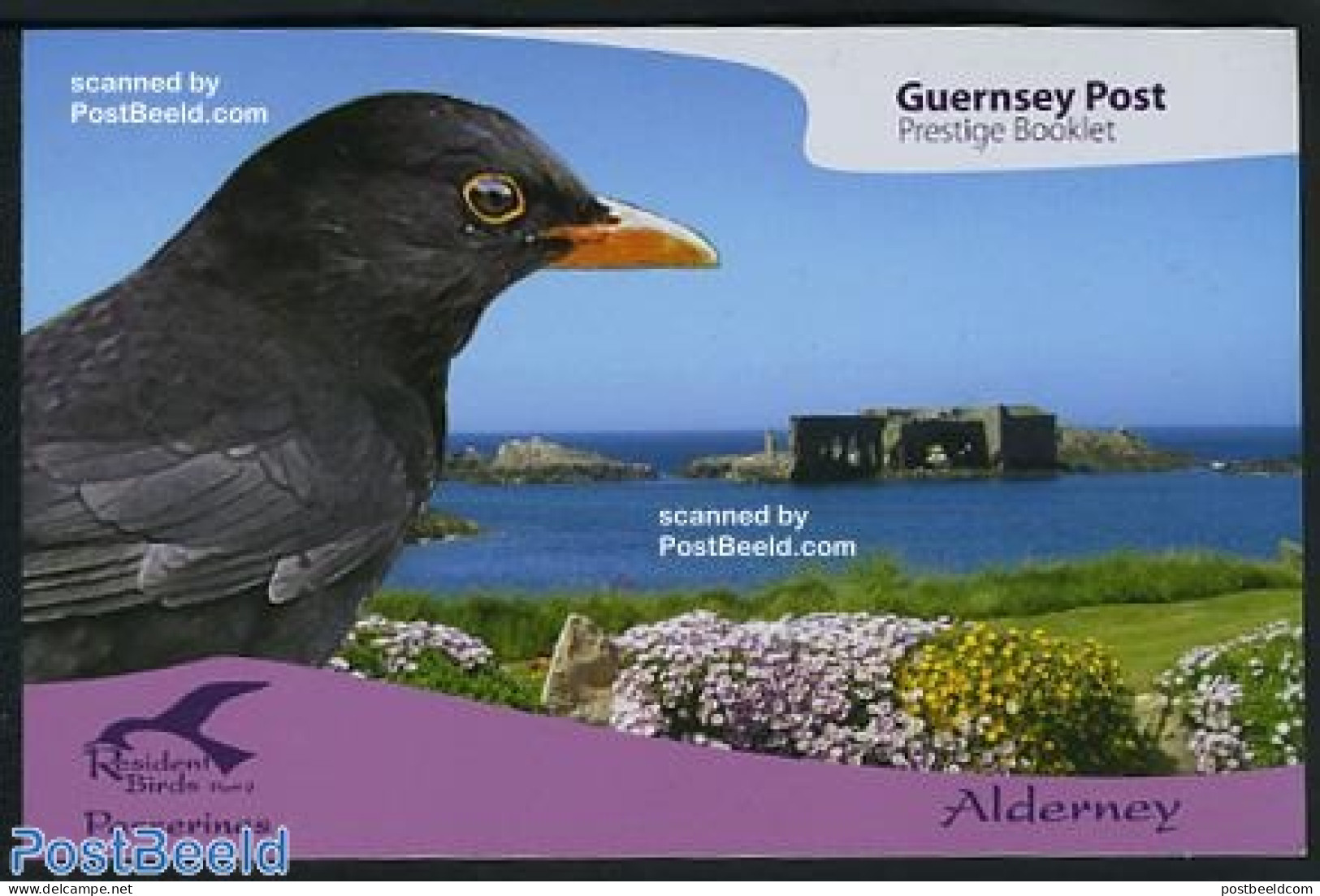 Alderney 2007 Resident Birds Prestige Booklet, Mint NH, Nature - Birds - Stamp Booklets - Unclassified