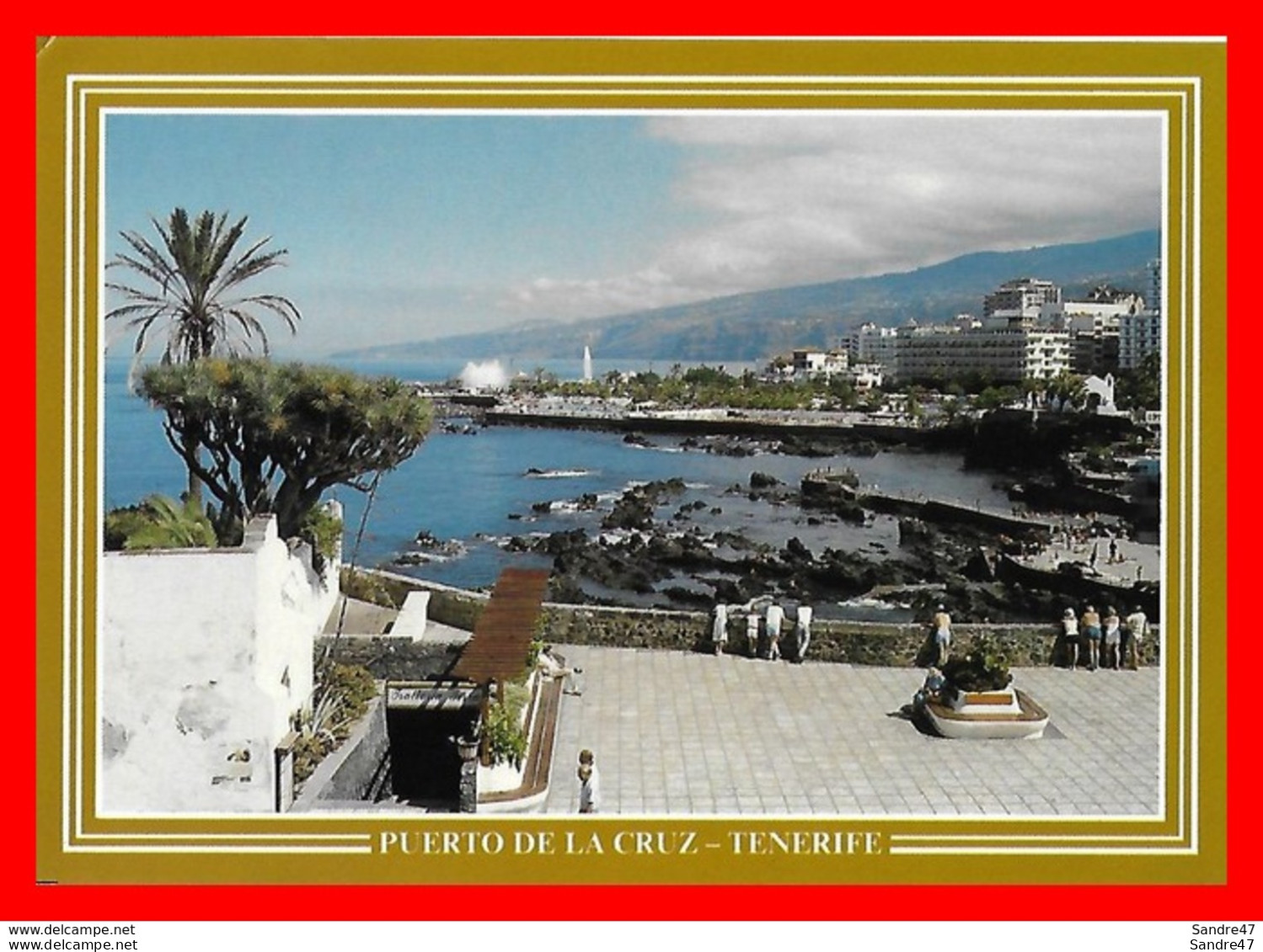 CPSM/gf  PUERTO De La CRUZ (Espagne) Ilas Canarias, San Telmo..*8907 - Tenerife