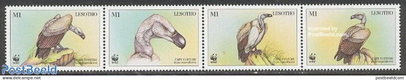 Lesotho 1998 WWF, Cape Vulture 4v [:::] Or [+], Mint NH, Nature - Birds - Birds Of Prey - World Wildlife Fund (WWF) - Lesotho (1966-...)
