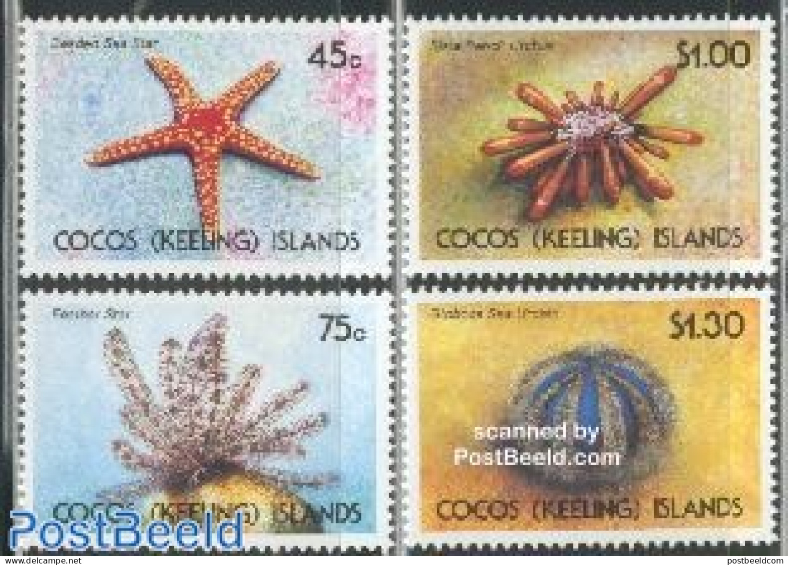 Cocos Islands 1991 Marine Life 4v, Mint NH, Nature - Shells & Crustaceans - Vie Marine