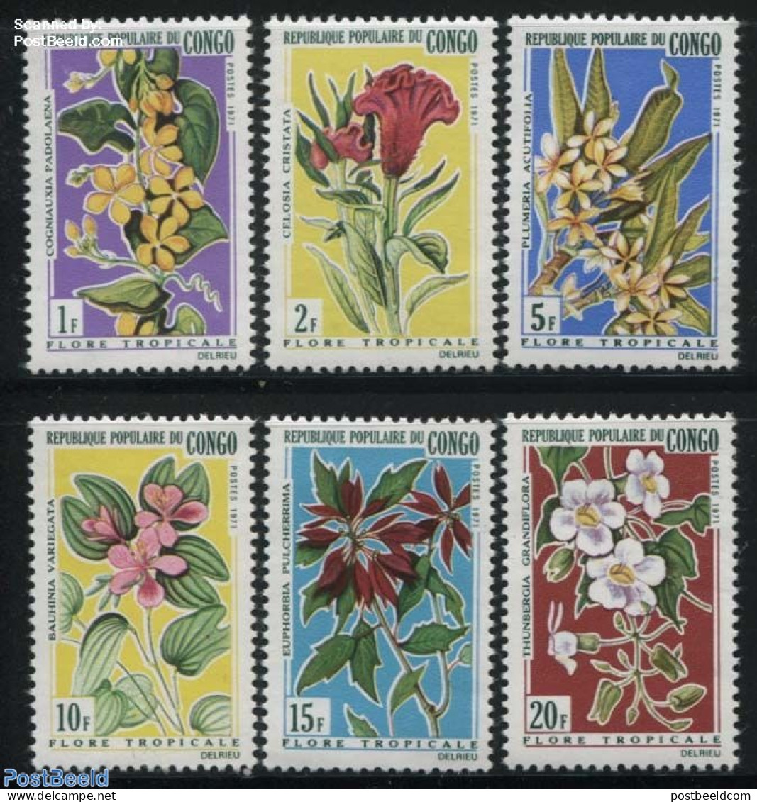 Congo Republic 1971 Flowers 6v, Mint NH, Nature - Flowers & Plants - Autres & Non Classés