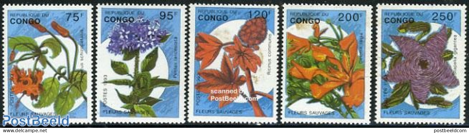 Congo Republic 1993 African Flowers 5v, Mint NH, Nature - Flowers & Plants - Sonstige & Ohne Zuordnung