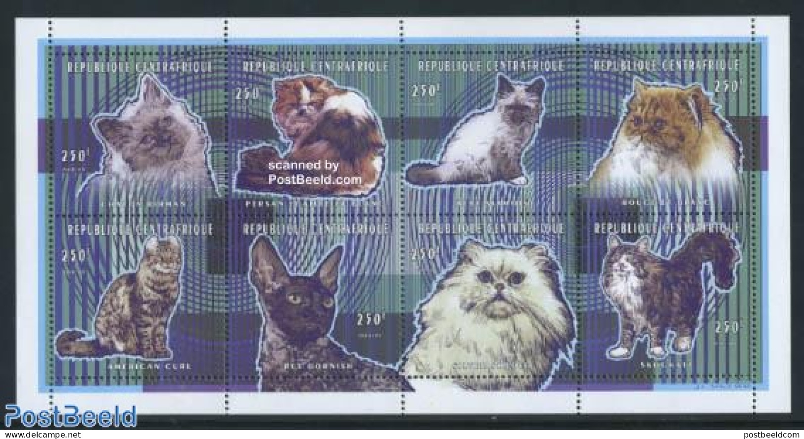 Central Africa 1998 Cats 8v M/s, Mint NH, Nature - Cats - Central African Republic