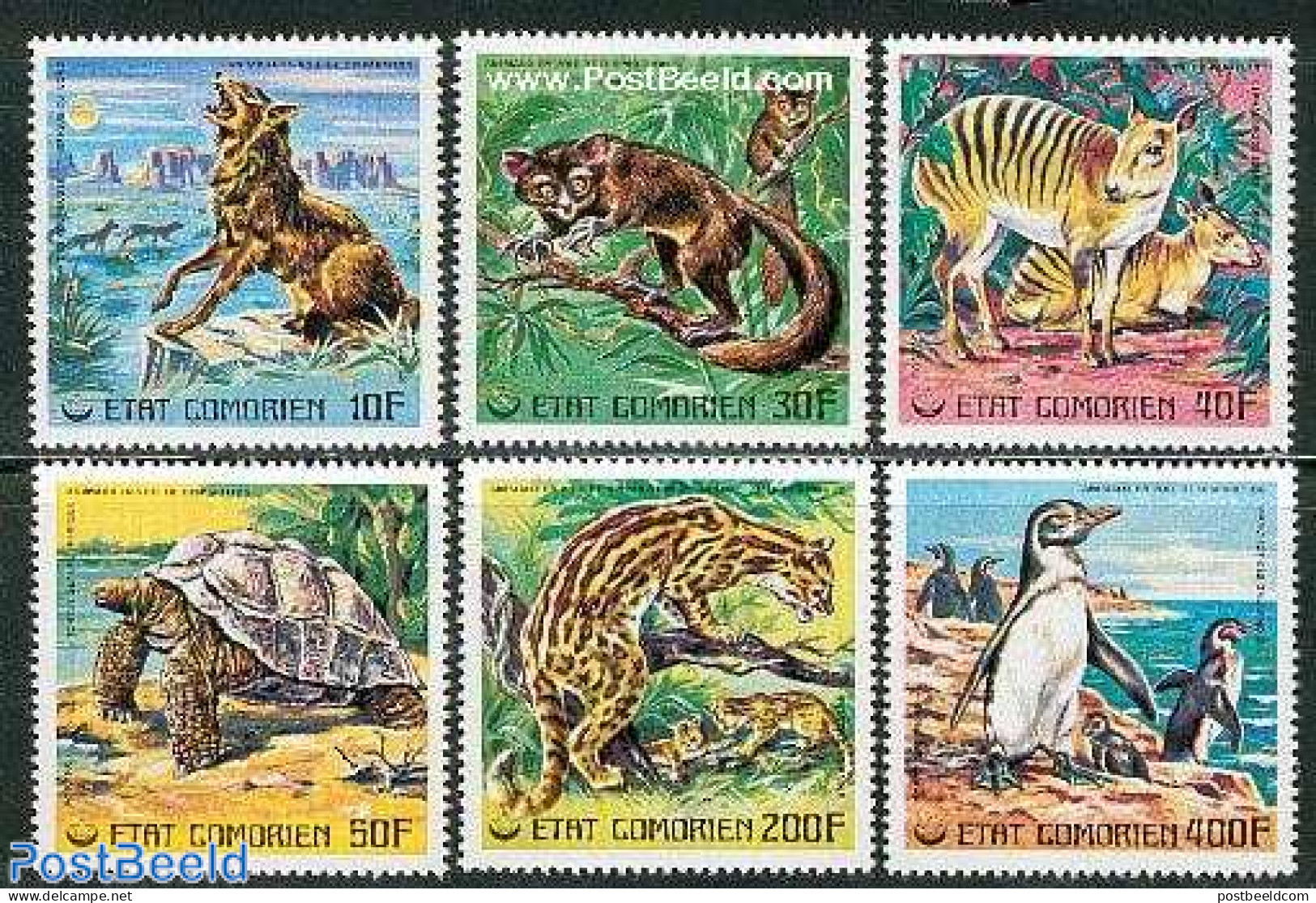 Comoros 1977 Endangered Animals 6v, Mint NH, Nature - Animals (others & Mixed) - Birds - Cat Family - Penguins - Turtles - Komoren (1975-...)