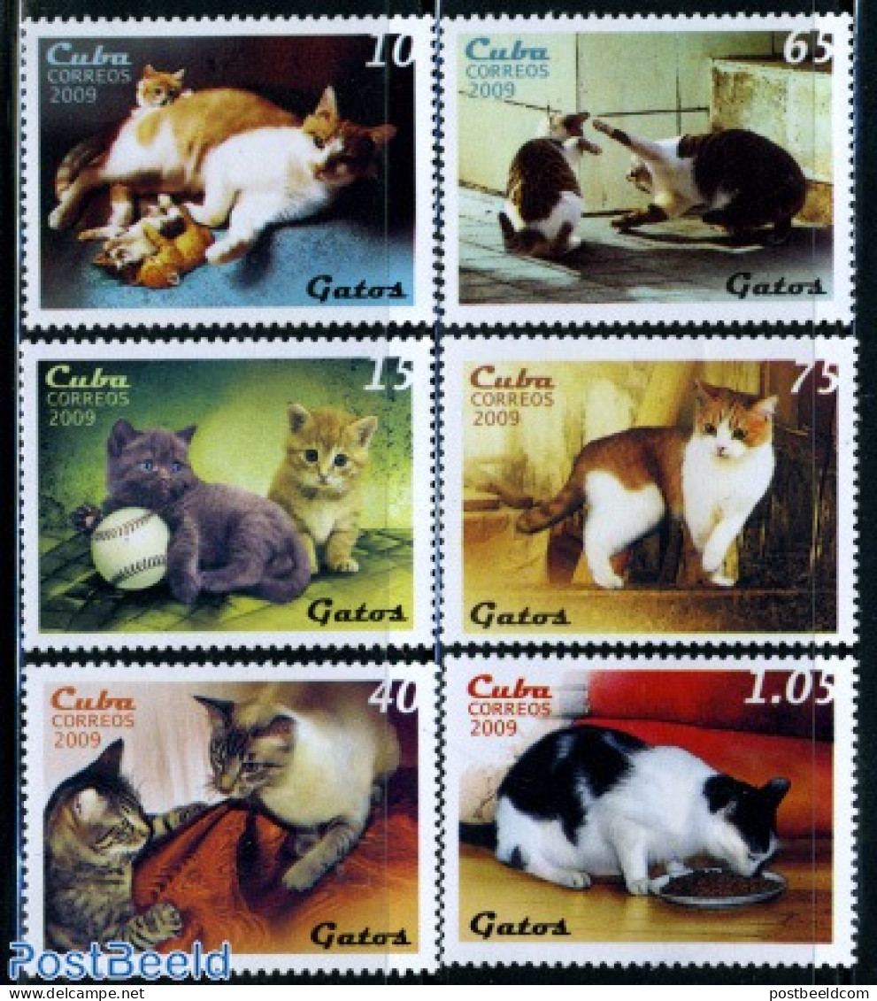 Cuba 2009 Cats 6v, Mint NH, Nature - Cats - Neufs